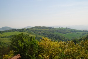 View from the Top of San Luca