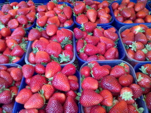 Strawberries - Fragole