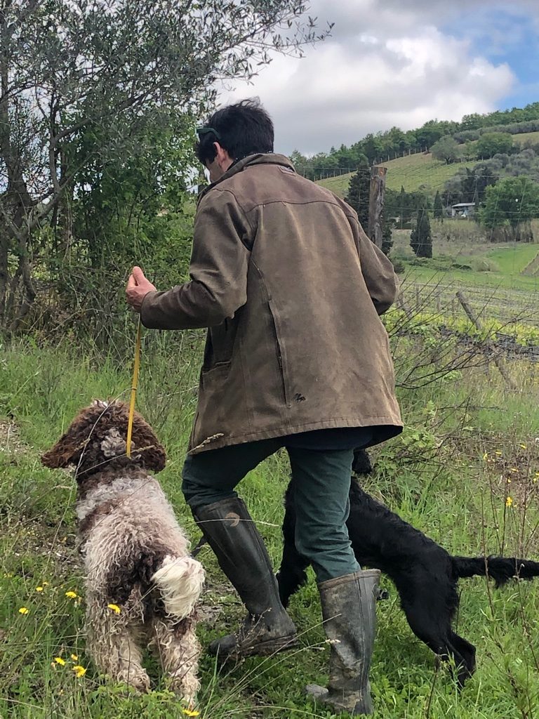 Truffle Hunt with Dogs